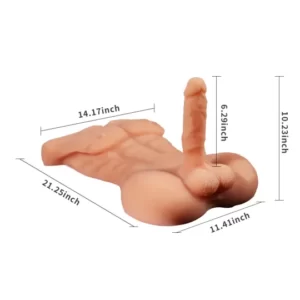 Daniel - Torse de poupée sexuelle masculine de 21,25 pouces (en stock aux États-Unis)
