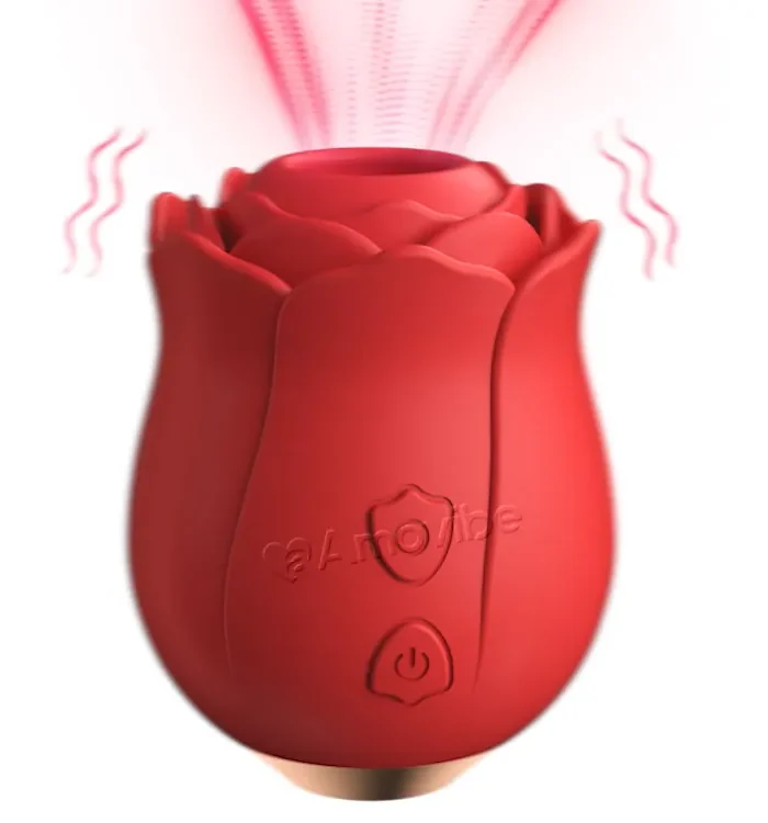 Vibromasseur Fellation Rosebud avec 10 Modèles Différents de Tapotement