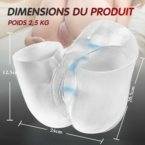 Fesse réaliste d'art transparente 2.45kg