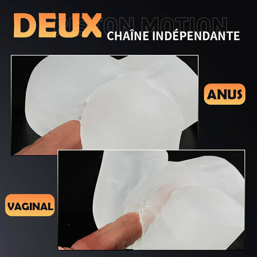 Fesse réaliste d'art transparente 2.55kg