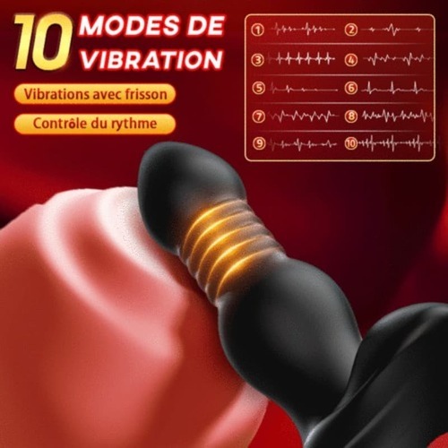 L'EXPLORATEUR ANAL Vibromasseur anal prostatique avec 3 télescopiques et 10 vibrations, Aaron AS