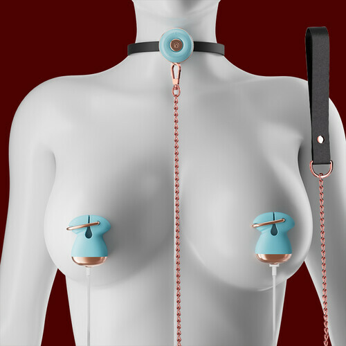 Pinces à tétons réglables avec collier BDSM, jouet pour tétons pour couples
