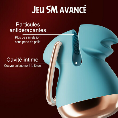 Pinces à tétons réglables avec collier BDSM, jouet pour tétons pour couples