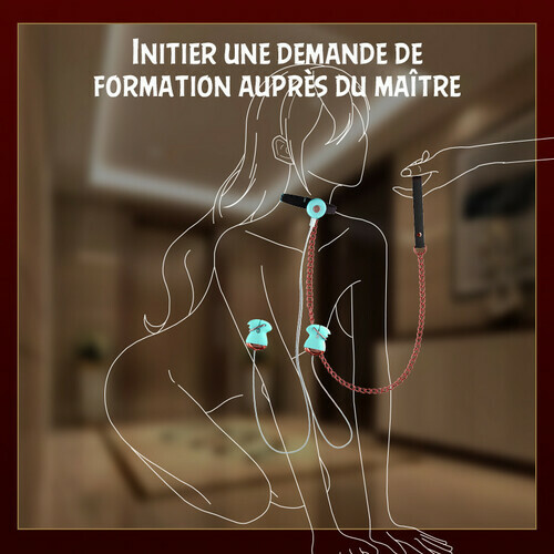Pinces à tétons réglables avec collier BDSM, jouet pour tétons pour couples
