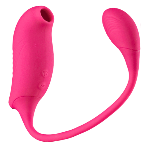 Vibromasseurs 2 en 1 avec 10 succions et 10 vibrations