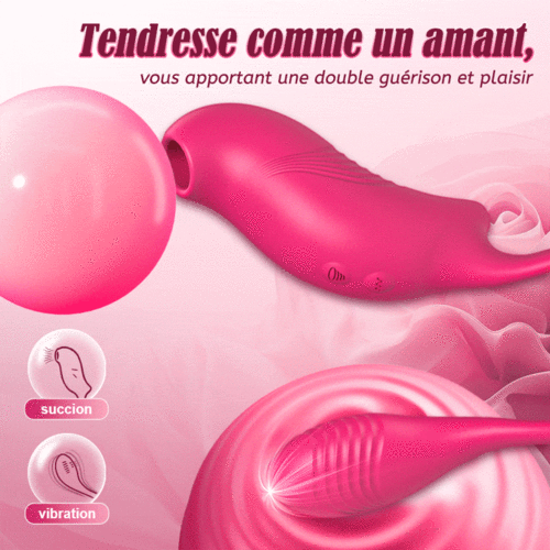 Vibromasseurs 2 en 1 avec 10 succions et 10 vibrations
