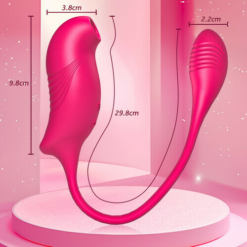 Vibromasseurs 2 en 1 avec 10 succions et 10 vibrations