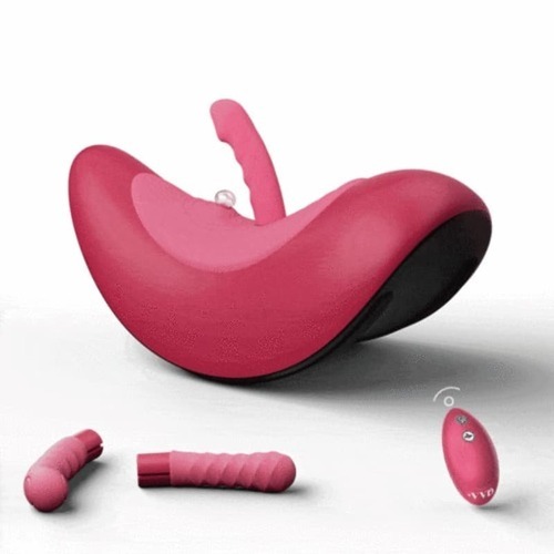 VVD Rider Desire Riding Experience Conception innovante avec deux commandes