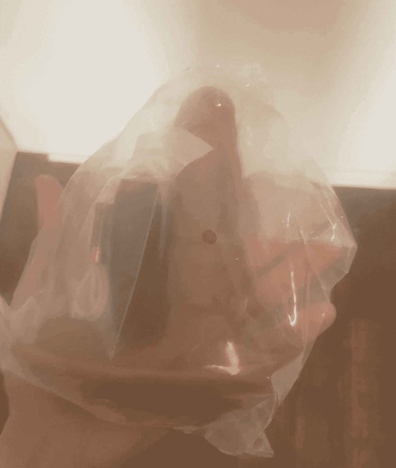 Pénis vivant Stimulation de la prostate Chauffant Vibration Télescopique Double... — photo avis client 1