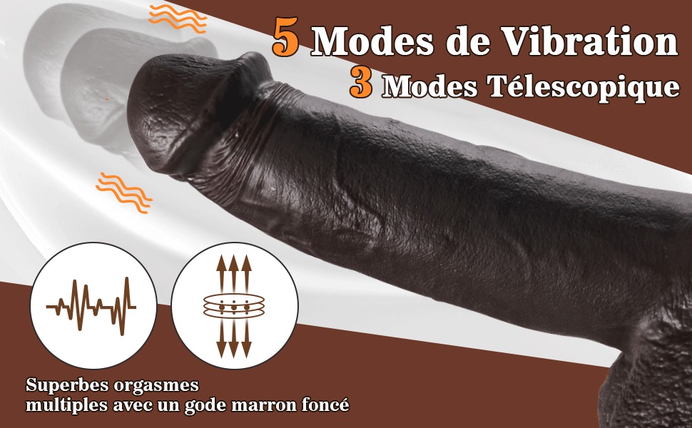 Y5527 - Bild 1