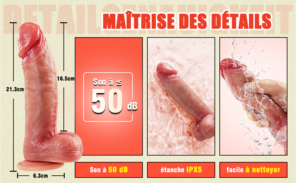 Q5775 - Bild 3