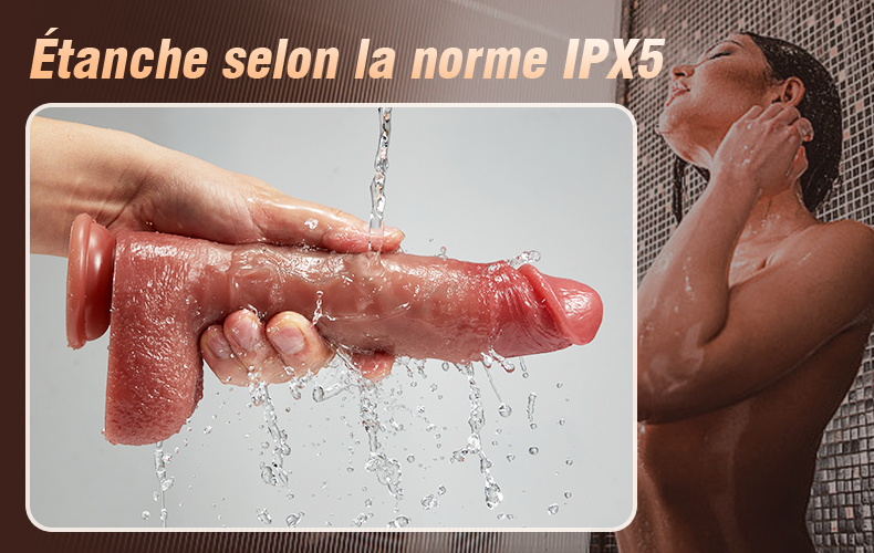 Y5945 - Imagen 3