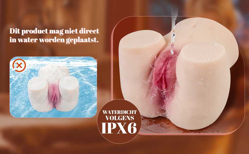Y6287 - Imagen 2
