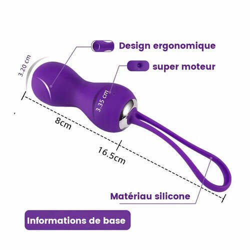 Boules de Geisha avec 10 modes de vibration, vibromasseur sexuel violet