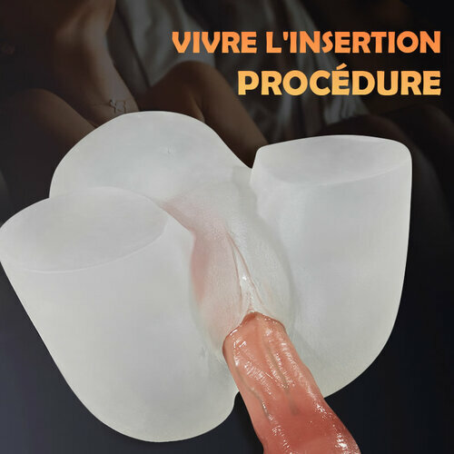 Fesse réaliste d'art transparente 2.55kg