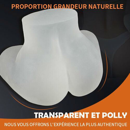 Fesse réaliste d'art transparente 2.55kg
