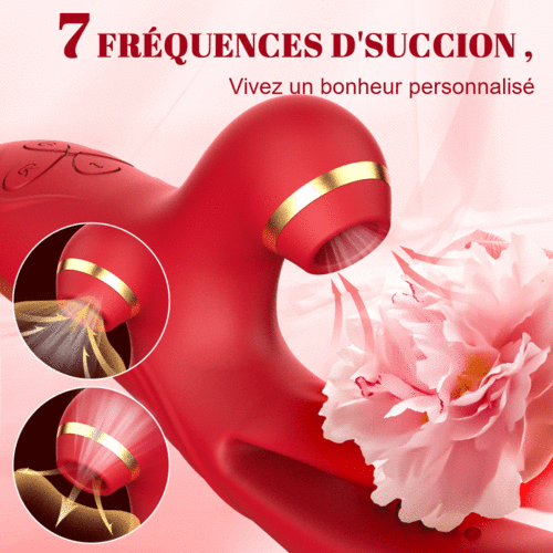 Reverie - 3 Poussée et vibration 7 Succion 10 Tapotement du point G Vibrateur - photo 3