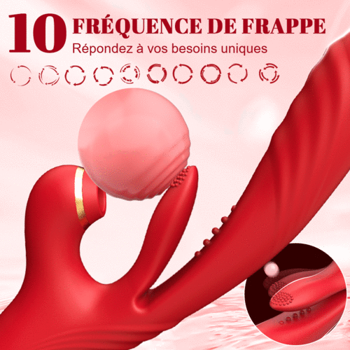 Reverie - 3 Poussée et vibration 7 Succion 10 Tapotement du point G Vibrateur - photo 4