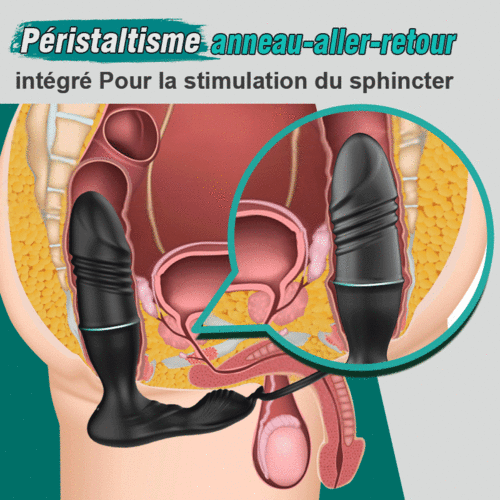 Stimulateur de prostate MURPHY avec mouvements de va-et-vient, vibrations et commande via application - photo 5