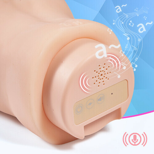 Vibromasseur réaliste avec aspiration sonore, insérable jusqu'à 12 cm - photo 5